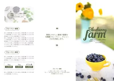 ブルーベリー